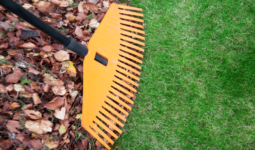 YARD CLEANUP
